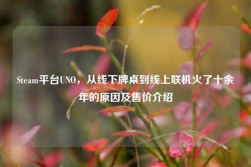 Steam平台UNO，从线下牌桌到线上联机火了十余年的原因及售价介绍