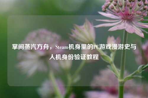 掌间蒸汽方舟，Steam机身里的PC游戏漫游史与人机身份验证教程