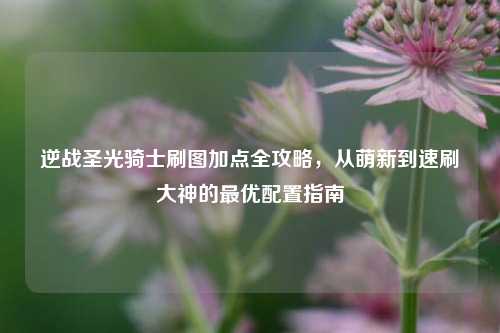 逆战圣光骑士刷图加点全攻略，从萌新到速刷大神的最优配置指南