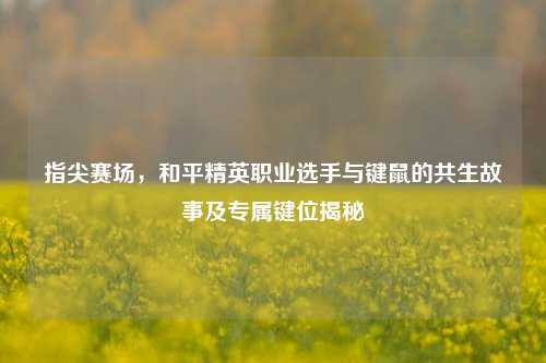 指尖赛场,和平精英职业选手与键鼠的共生故事及专属键位揭秘