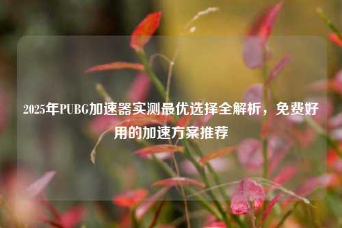2025年PUBG加速器实测最优选择全解析,免费好用的加速方案推荐