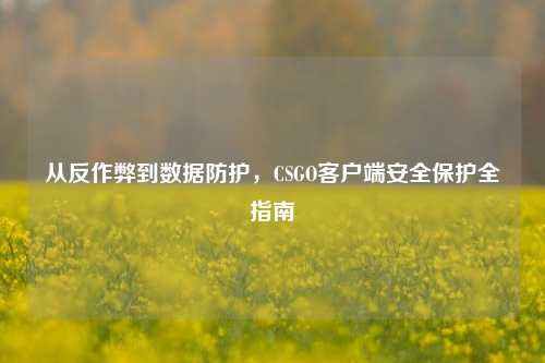 从反作弊到数据防护,CSGO客户端安全保护全指南