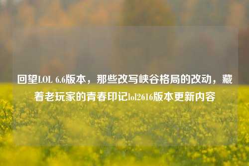 回望LOL 6.6版本,那些改写峡谷格局的改动,藏着老玩家的青春印记lol2616版本更新内容