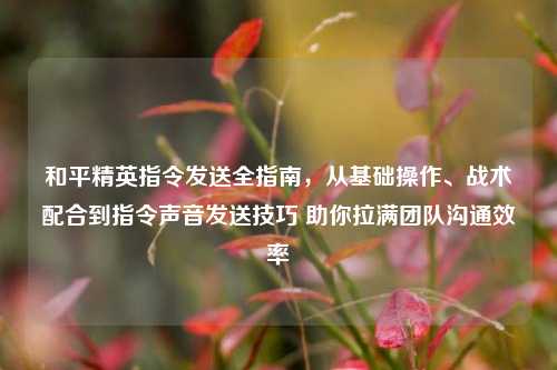 和平精英指令发送全指南，从基础操作、战术配合到指令声音发送技巧 助你拉满团队沟通效率