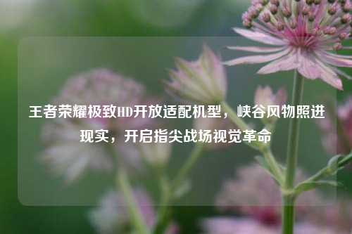王者荣耀极致HD开放适配机型,峡谷风物照进现实,开启指尖战场视觉革命