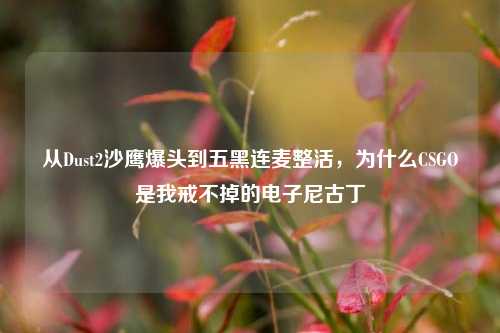 从Dust2沙鹰爆头到五黑连麦整活，为什么CSGO是我戒不掉的电子尼古丁