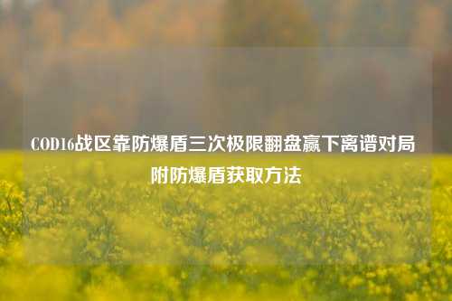 COD16战区靠防爆盾三次极限翻盘赢下离谱对局 附防爆盾获取方法