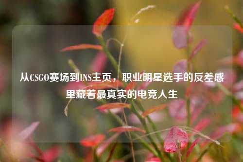从CSGO赛场到INS主页，职业明星选手的反差感里藏着最真实的电竞人生