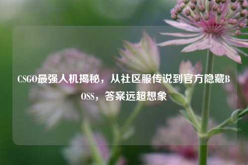 CSGO最强人机揭秘,从社区服传说到官方隐藏BOSS,答案远超想象