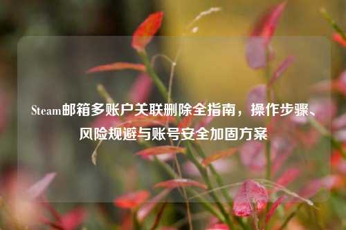 Steam邮箱多账户关联删除全指南,操作步骤、风险规避与账号安全加固方案