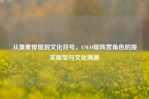 从像素悍匪到文化符号,CSGO匪阵营角色的现实原型与文化溯源