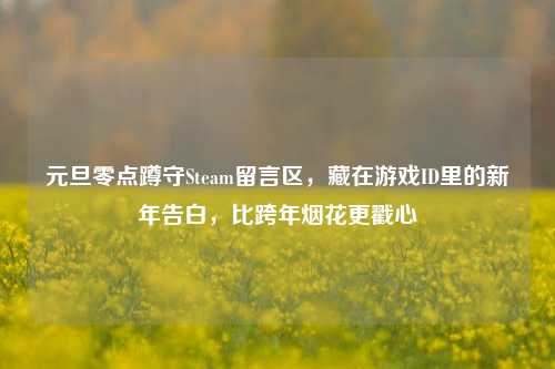 元旦零点蹲守Steam留言区,藏在游戏ID里的新年告白,比跨年烟花更戳心