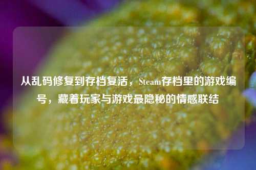 从乱码修复到存档复活,Steam存档里的游戏编号,藏着玩家与游戏最隐秘的情感联结