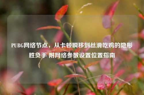 PUBG网络节点，从卡顿瞬移到丝滑吃鸡的隐形胜负手 附网络参数设置位置指南