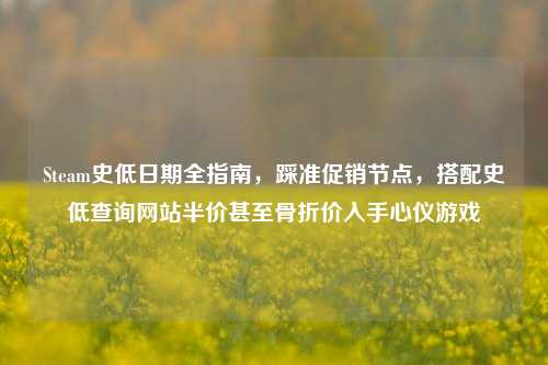 Steam史低日期全指南，踩准促销节点，搭配史低查询网站半价甚至骨折价入手心仪游戏