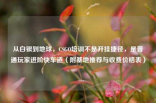 从白银到地球,CSGO培训不是开挂捷径,是普通玩家进阶快车道(附基地推荐与收费价格表)