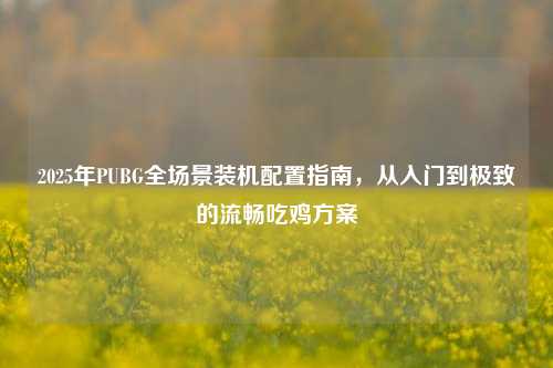 2025年PUBG全场景装机配置指南,从入门到极致的流畅吃鸡方案