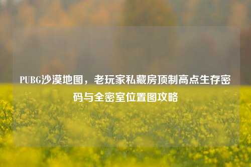 PUBG沙漠地图,老玩家私藏房顶制高点生存密码与全密室位置图攻略