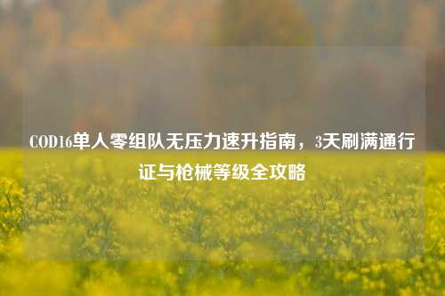 COD16单人零组队无压力速升指南,3天刷满通行证与枪械等级全攻略