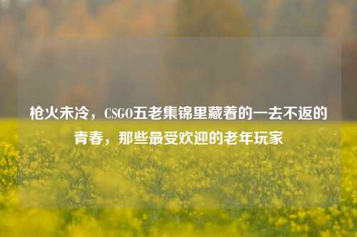枪火未冷,CSGO五老集锦里藏着的一去不返的青春,那些最受欢迎的老年玩家