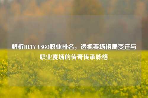 解析HLTV CSGO职业排名,透视赛场格局变迁与职业赛场的传奇传承脉络