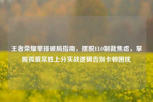 王者荣耀单排破局指南,摆脱ELO制裁焦虑,掌握孤狼常胜上分实战逻辑告别卡顿困扰
