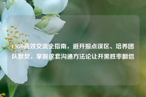 CSGO高效交流全指南,避开报点误区、培养团队默契,掌握这套沟通方法论让开黑胜率翻倍