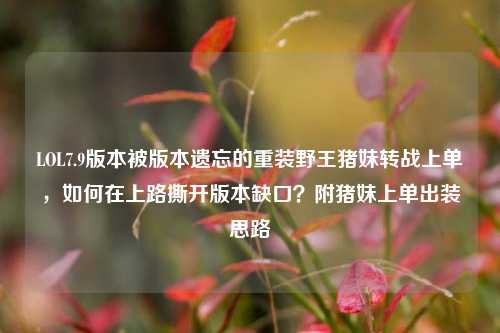LOL7.9版本被版本遗忘的重装野王猪妹转战上单,如何在上路撕开版本缺口?附猪妹上单出装思路