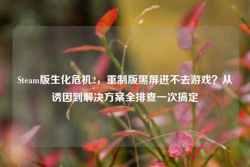 Steam版生化危机2，重制版黑屏进不去游戏？从诱因到解决方案全排查一次搞定