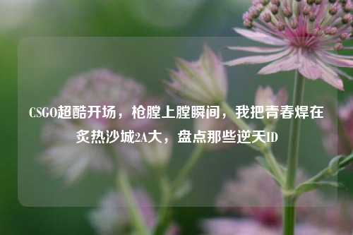 CSGO超酷开场，枪膛上膛瞬间，我把青春焊在炙热沙城2A大，盘点那些逆天ID