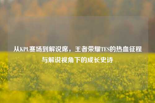从KPL赛场到解说席，王者荣耀TES的热血征程与解说视角下的成长史诗