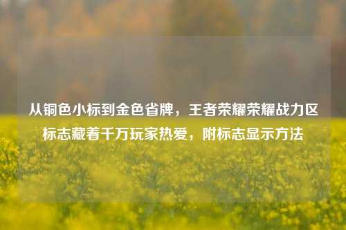 从铜色小标到金色省牌，王者荣耀荣耀战力区标志藏着千万玩家热爱，附标志显示方法