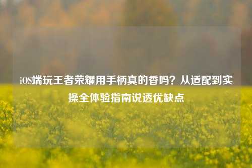 iOS端玩王者荣耀用手柄真的香吗?从适配到实操全体验指南说透优缺点