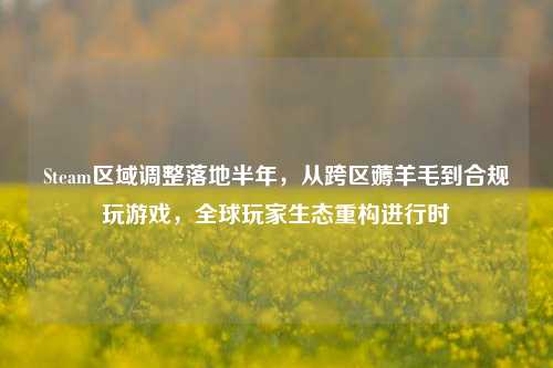 Steam区域调整落地半年，从跨区薅羊毛到合规玩游戏，全球玩家生态重构进行时