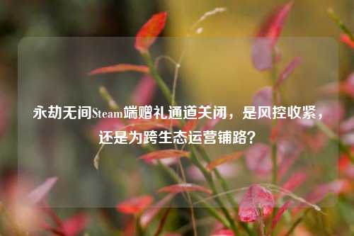 永劫无间Steam端赠礼通道关闭,是风控收紧,还是为跨生态运营铺路?