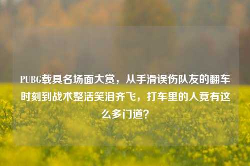 PUBG载具名场面大赏，从手滑误伤队友的翻车时刻到战术整活笑泪齐飞，打车里的人竟有这么多门道？