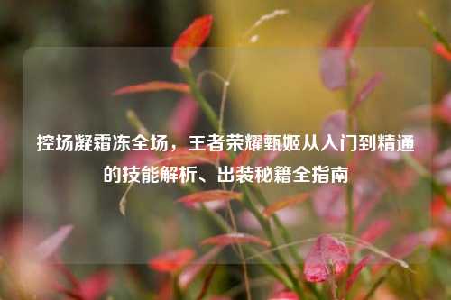 控场凝霜冻全场，王者荣耀甄姬从入门到精通的技能解析、出装秘籍全指南