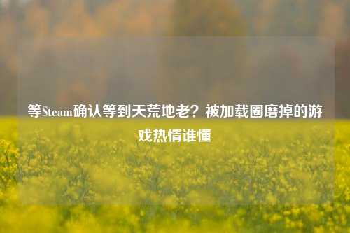 等Steam确认等到天荒地老?被加载圈磨掉的游戏热情谁懂