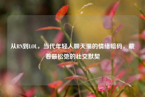 从RN到LOL，当代年轻人聊天里的情绪暗码，藏着最松弛的社交默契