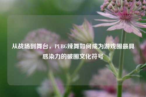 从战场到舞台，PUBG辣舞如何成为游戏圈最具感染力的破圈文化符号