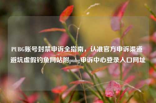 PUBG账号封禁申诉全指南,认准官方申诉渠道 避坑虚假钓鱼网站附pubg申诉中心登录入口网址