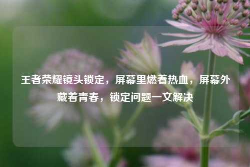 王者荣耀镜头锁定，屏幕里燃着热血，屏幕外藏着青春，锁定问题一文解决