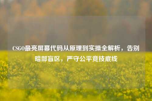 CSGO最亮屏幕代码从原理到实操全解析,告别暗部盲区,严守公平竞技底线