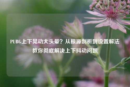 PUBG上下晃动大头晕？从根源剖析到设置解法教你彻底解决上下抖动问题