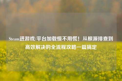 Steam进游戏/平台加载慢不用慌!从根源排查到高效解决的全流程攻略一篇搞定