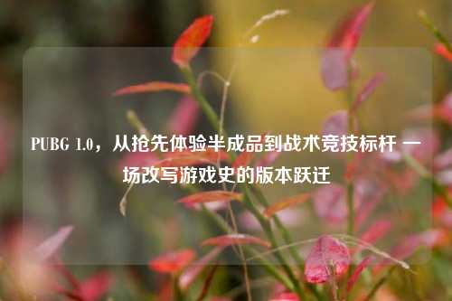 PUBG 1.0,从抢先体验半成品到战术竞技标杆 一场改写游戏史的版本跃迁