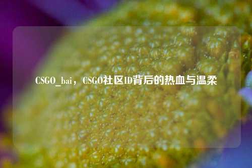 CSGO_bai,CSGO社区ID背后的热血与温柔