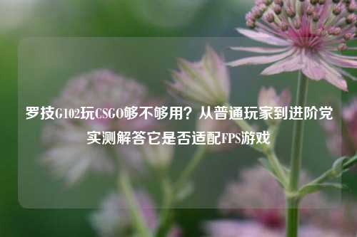 罗技G102玩CSGO够不够用？从普通玩家到进阶党实测解答它是否适配FPS游戏