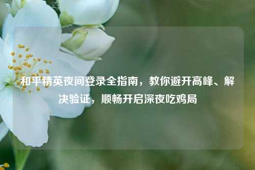 和平精英夜间登录全指南,教你避开高峰、解决验证,顺畅开启深夜吃鸡局
