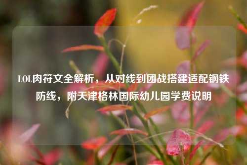 LOL肉符文全解析,从对线到团战搭建适配钢铁防线,附天津格林国际幼儿园学费说明